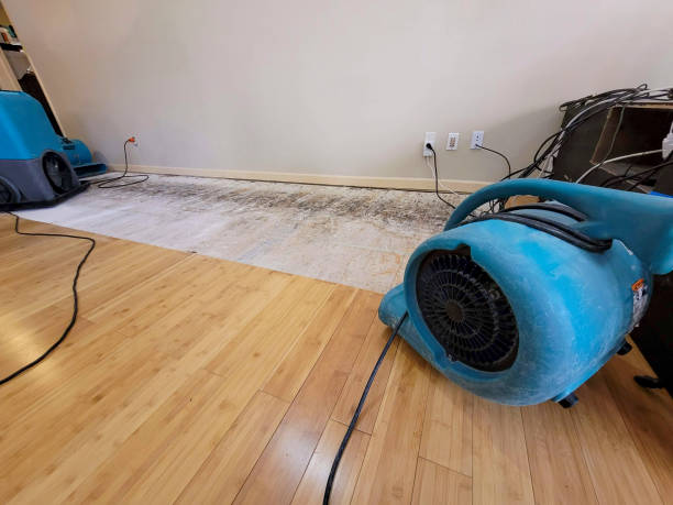 Professional Flood Damage Cleanup technician working in Monticello, AR